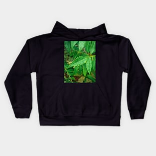 Water drops on leaves in morning Kids Hoodie